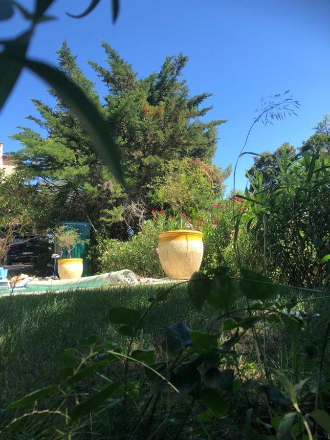 B&B Oasis Des Lavandes - Chambre Coqueliot Villeneuve-lès-Avignon Zewnętrze zdjęcie
