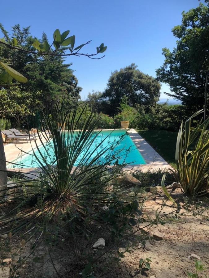 B&B Oasis Des Lavandes - Chambre Coqueliot Villeneuve-lès-Avignon Zewnętrze zdjęcie